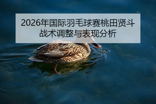nian-guo-ji-yu-mao-qiu-sai-tao-tian-xian-dou-zhan-shu-tiao-zheng-yu-biao-xian-fen-xi-2-897.jpg